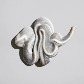 Silver snake-shaped object on a light gray background